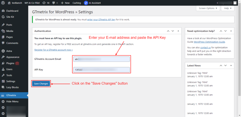 Enter your E-mail address and paste the GTmetrix API key